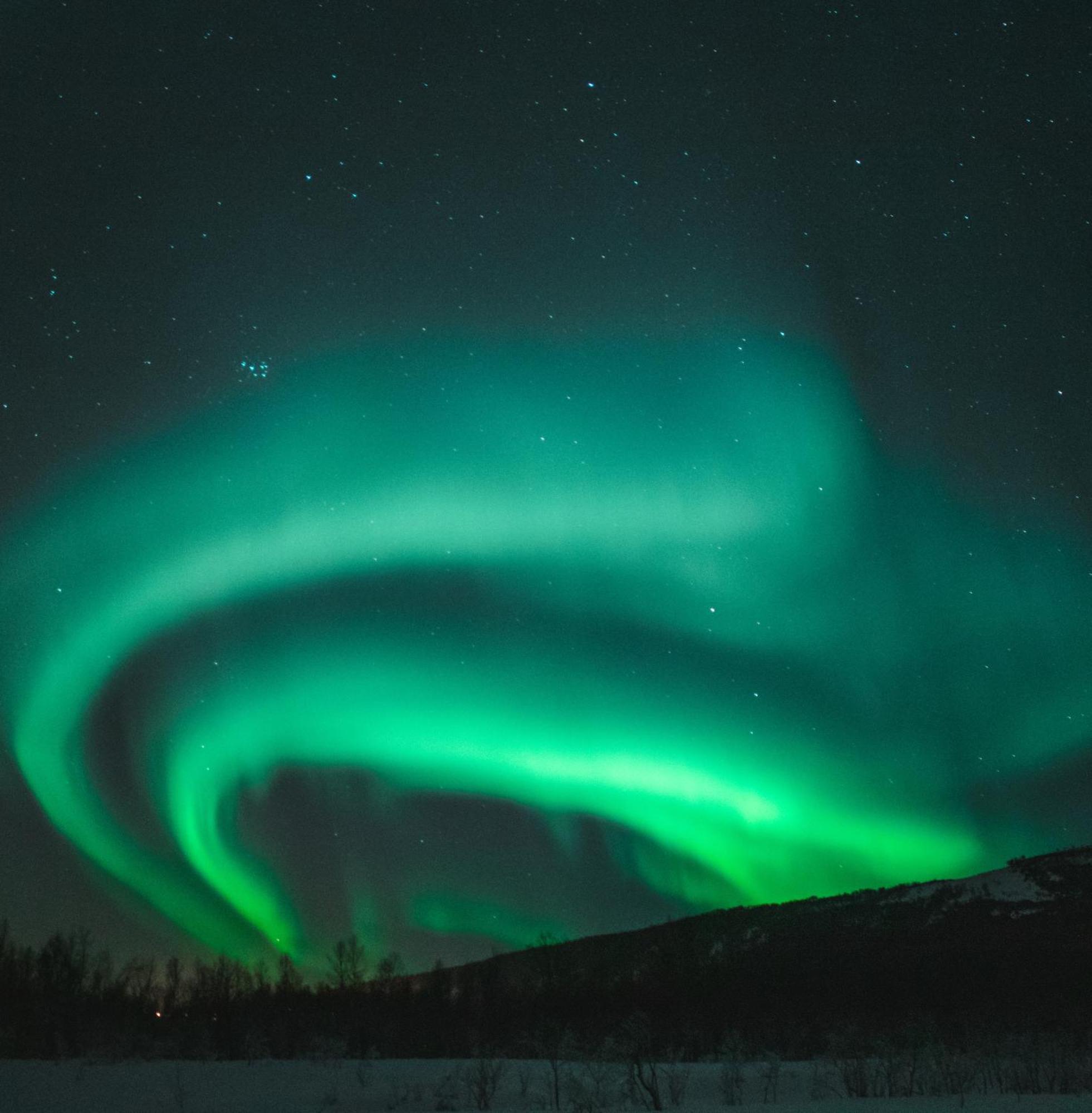 Villa Skog Aurora Igloos Kalix Exterior foto