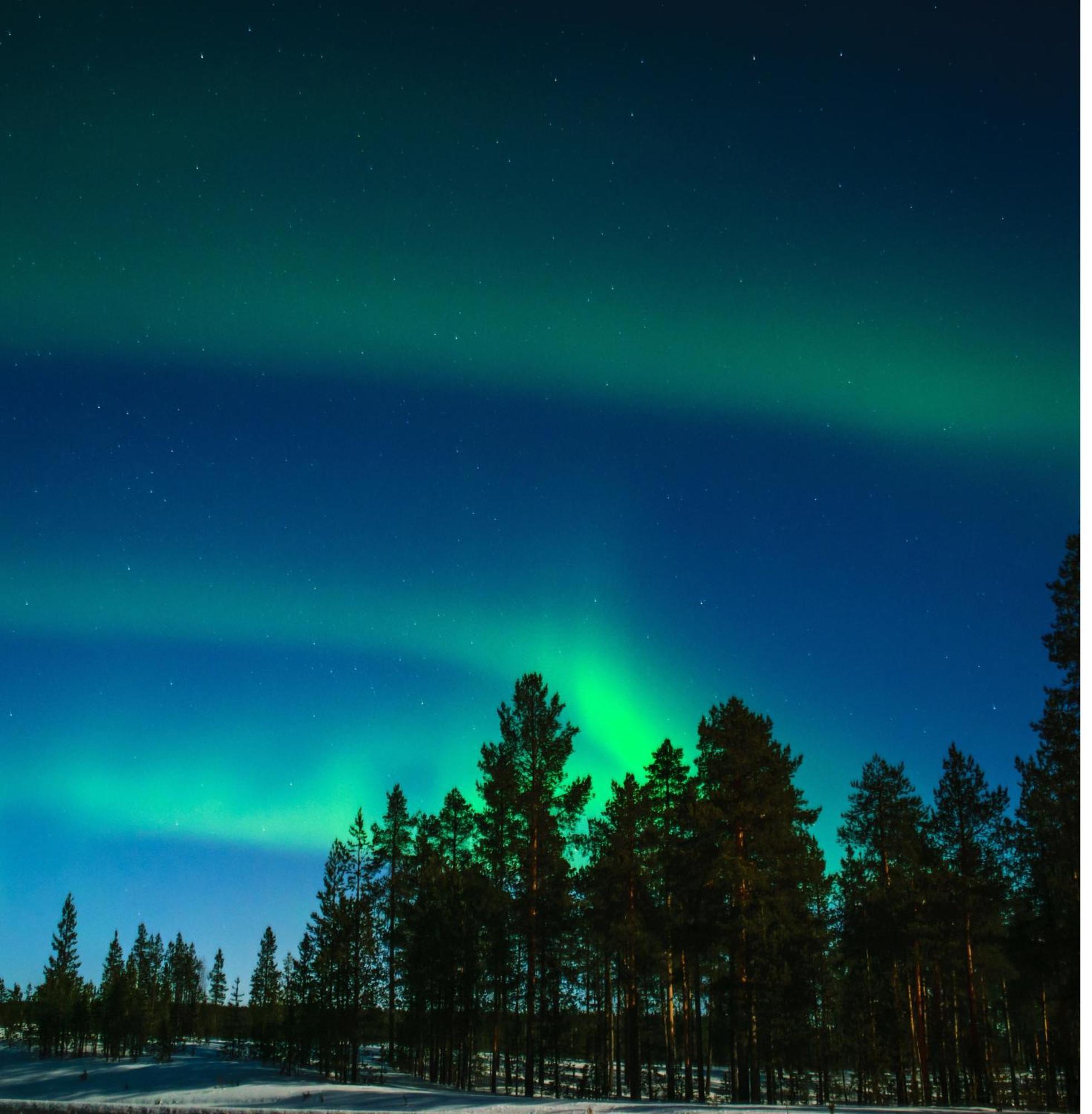Villa Skog Aurora Igloos Kalix Exterior foto