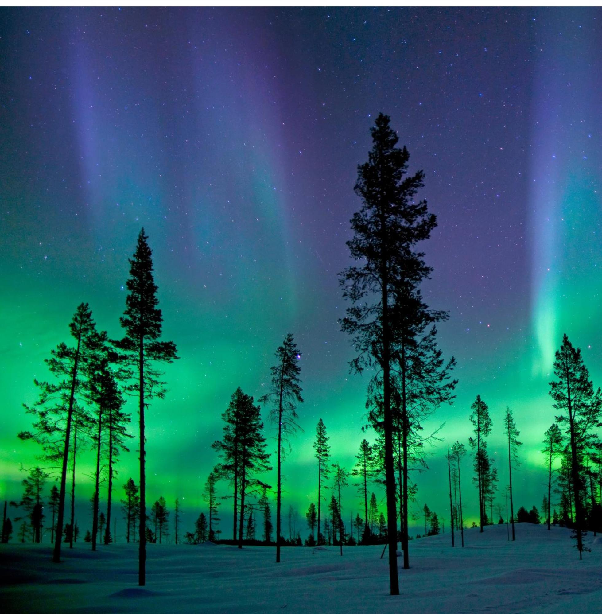 Villa Skog Aurora Igloos Kalix Exterior foto